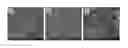 Fig. 01 - Three-dimensional nanostructured hybrid scaffold and manufacture thereof