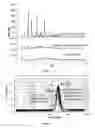 Fig. 06 - NANOSTRUCTURED SILDENAFIL BASE, ITS PHARMACEUTICALLY ACCEPTABLE SALTS AND CO-CRYSTALS, COMPOSITIONS OF THEM, PROCESS FOR THE PREPARATION THEREOF AND PHARMACEUTICAL COMPOSITIONS CONTAINING THEM