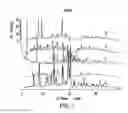 Fig. 02 - Solid oral formulations and crystalline forms of an inhibitor of apoptosis protein