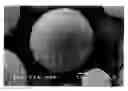 Fig. 01 - Organic-inorganic composite particles, process for producing the same, dispersion containing the particles, and cosmetic containing the particles