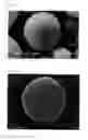 Fig. 02 - Organic-inorganic composite particles, process for producing the same, dispersion containing the particles, and cosmetic containing the particles