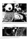 Fig. 02 - MULTI-PHASE MICROPARTICLES AND METHOD OF MANUFACTURING MULTI-PHASE MICROPARTICLES