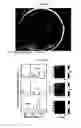 Fig. 08 - MULTI-PHASE MICROPARTICLES AND METHOD OF MANUFACTURING MULTI-PHASE MICROPARTICLES