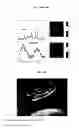Fig. 12 - MULTI-PHASE MICROPARTICLES AND METHOD OF MANUFACTURING MULTI-PHASE MICROPARTICLES