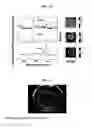 Fig. 13 - MULTI-PHASE MICROPARTICLES AND METHOD OF MANUFACTURING MULTI-PHASE MICROPARTICLES