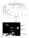 Fig. 19 - MULTI-PHASE MICROPARTICLES AND METHOD OF MANUFACTURING MULTI-PHASE MICROPARTICLES