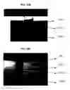 Fig. 20 - MULTI-PHASE MICROPARTICLES AND METHOD OF MANUFACTURING MULTI-PHASE MICROPARTICLES
