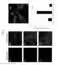 Fig. 09 - Skin permeating and cell entering (SPACE) peptides and methods of use thereof