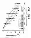 Fig. 05 - METHOD TO INHIBIT AIRWAY HYPERRESPONSIVENESS USING AEROSOLIZED T CELL RECEPTOR ANTIBODIES