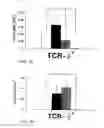 Fig. 09 - METHOD TO INHIBIT AIRWAY HYPERRESPONSIVENESS USING AEROSOLIZED T CELL RECEPTOR ANTIBODIES