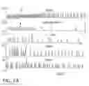 Fig. 03 - Sphingomyelin Liposomes for the Treatment of Hyperactive Bladder Disorders