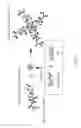 Fig. 09 - Biocarrier and method of using the same