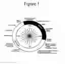 Fig. 02 - COMPOSITIONS AND METHODS FOR ONCE-DAILY ADMINISTRATION OF A TRILAYER OSMOTIC TABLET