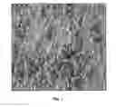 Fig. 02 - Process for producing protein microparticles