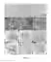 Fig. 03 - Process for producing protein microparticles