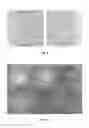 Fig. 06 - Process for producing protein microparticles