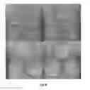 Fig. 07 - Process for producing protein microparticles