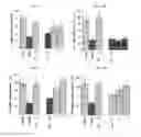 Fig. 06 - Method of treating neurological conditions with extract of species or species