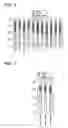 Fig. 02 - METHOD FOR SUPPRESSING THE ACRID TASTE AND/OR METALLIC TASTE DERIVED FROM POTASSIUM CHLORIDE