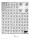 Fig. 09 - GEL POLYMER PEN LITHOGRAPHY