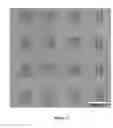 Fig. 12 - GEL POLYMER PEN LITHOGRAPHY
