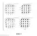 Fig. 06 - Latent image pattern formed body