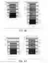 Fig. 30 - Latent image pattern formed body