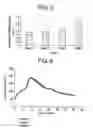 Fig. 07 - Rotomoulded articles prepared with polyethylene