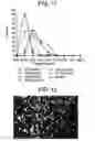Fig. 10 - Rotomoulded articles prepared with polyethylene