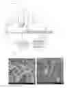 Fig. 03 - Functional inorganic board and manufacturing method thereof
