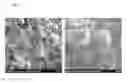 Fig. 04 - Functional inorganic board and manufacturing method thereof