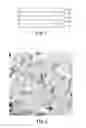 Fig. 02 - NON-HALOGENATED POLYISOBUTYLENE-THERMOPLASTIC ELASTOMER BLEND PRESSURE SENSITIVE ADHESIVES