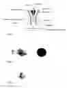 Fig. 02 - METHOD FOR ENCAPSULATING LIQUID OR PASTY SUBSTANCES IN A CROSS-LINKED ENCAPSULATION MATERIAL