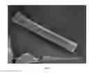 Fig. 02 - Method of making hydrophilic fluoropolymer material