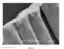Fig. 04 - Method of making hydrophilic fluoropolymer material