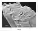 Fig. 05 - Method of making hydrophilic fluoropolymer material
