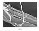 Fig. 08 - Method of making hydrophilic fluoropolymer material