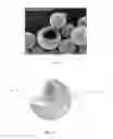 Fig. 04 - GUM BASES CONTAINING NON-UNIFORM CROSSLINKED POLYMER MICROPARTICLES