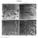 Fig. 09 - Nanoparticles