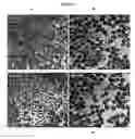 Fig. 10 - Nanoparticles