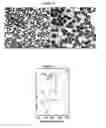 Fig. 11 - Nanoparticles