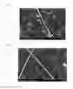 Fig. 08 - Metal nanobelt and method of manufacturing the same, and conductive ink composition and conductive film comprising the same