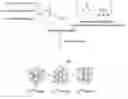 Fig. 01 - LIQUID ELECTROLYTE FILLED POLYMER ELECTROLYTE