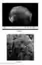 Fig. 04 - Method of making silicon anode material for rechargeable cells
