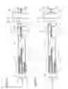 Fig. 23 - Fuel cell having a separator with a folded back part
