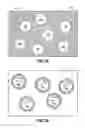 Fig. 03 - Electrically chargeable encapsulated particles