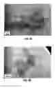 Fig. 06 - Electrically chargeable encapsulated particles