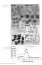 Fig. 02 - Methods for modulating embryonic stem cell differentiation