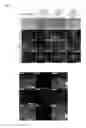 Fig. 02 - Method for selecting clone of induced pluripotent stem cells