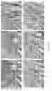 Fig. 03 - Apparatus and methods for detection of tumor cells in blood